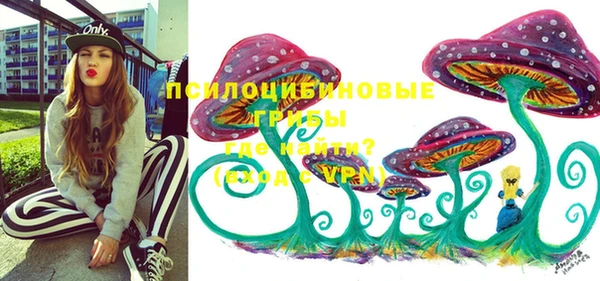 ешки Абаза