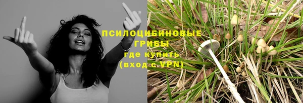 ешки Абаза