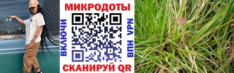 Галлюциногенные грибы GOLDEN TEACHER  магазин продажи наркотиков  мега   Кирс 